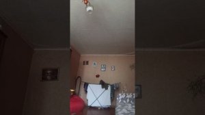 чего бабка алка и её дочь завтро сбегу т из игры кальмара что же будет завтро?