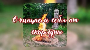 Очищаем себя от скорлупы. #очищение #скорлупа