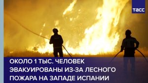 Около 1 тыс. человек эвакуированы из-за лесного пожара на западе Испании
