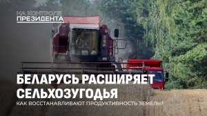 В Беларуси увеличилась площадь сельхозугодий! Как восстанавливают земели? На контроле Президента