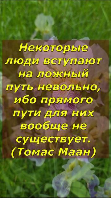 Мудрые мысли (Томас Маан)