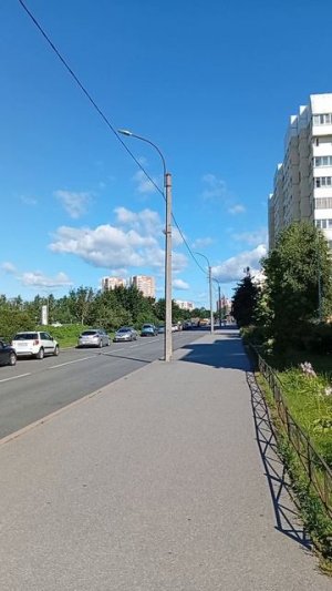 что я вижу каждый день
