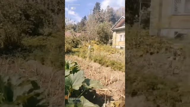 Обзор СНТ Холодный Ключ 2