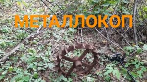 МЕТАЛЛОКОП/ВОЗЛЕ ПОЛЕЙ/ОТЛИЧНОЕ ЖЕЛЕЗО СССР/ДОПОЛНИТЕЛЬНЫЙ ЗАРАБОТОК