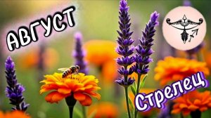СТРЕЛЬЦЫ. Прогноз на Август 2026