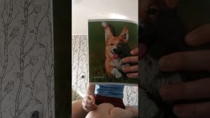 распаковка канцелярии с сертификата на 1000 р. ❤️📓📔✒️🖊️🖋️📎📏