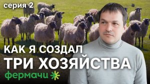 Бизнес на овцах |  Романовские овцы | Овцеводство | Серия 2 | Фермачи