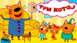 Три Кота 🐱🐱😽