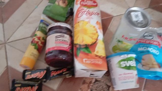 Попрошайка потерялась