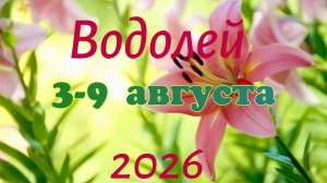 Водолей♒ Таро- прогноз на неделю с 3 по 9 августа 🕊