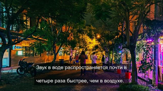 главное меню 2