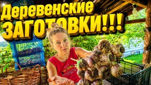 КУПИЛИ ДОМ В СЕЛЕ НА ХУТОРЕ | Дом в деревне | Деревенская жизнь