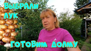 Выбрали лук Готовим долму