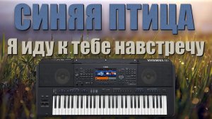 СУПЕРХИТ 80-х - ВИА Синяя птица - Я иду тебе навстречу