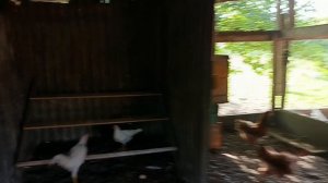 Обо всём по чуть-чуть 😁