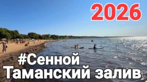Бежим от медуз на Таманский залив Поселок #Сенной 2026 Центральный пляж