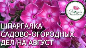 САДОВО-ОГОРОДНЫЕ ДЕЛА В АВГУСТЕ