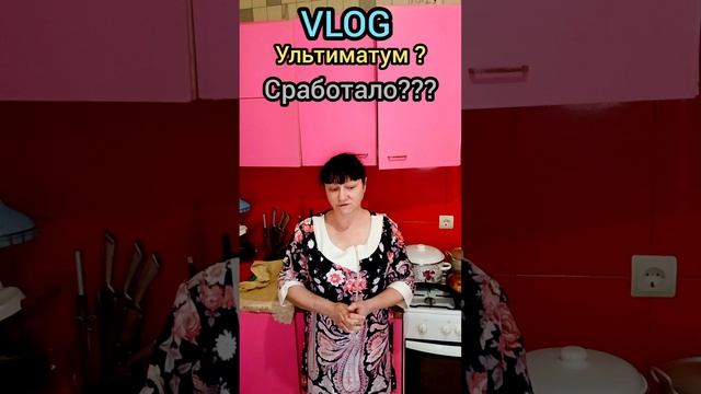 влог