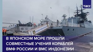 В Японском море прошли совместные учения кораблей ВМФ России и ВМС Индонезии