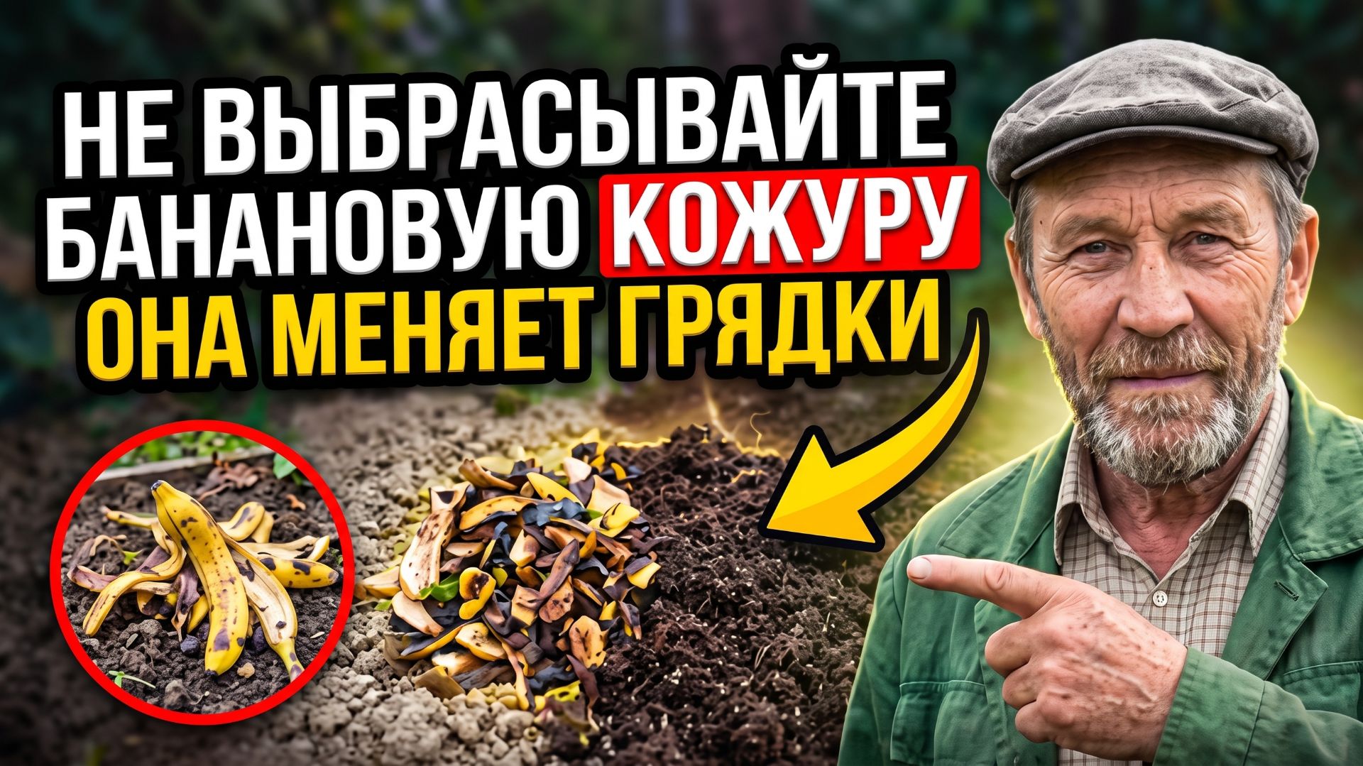Не выбрасывайте банановую кожуру — она может изменить ваши грядки