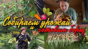 Собираем урожай, готовим борщ и раскрываю вам свой секрет