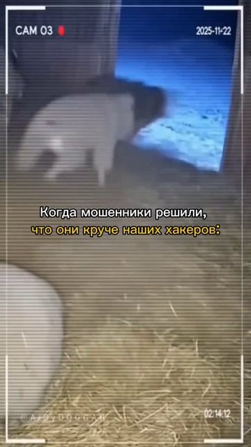 Засада