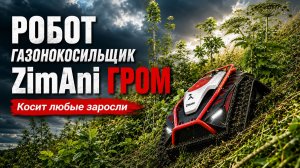 Самый мощный робот-косилка? ZimAni ГРОМ против БОРЩЕВИКА