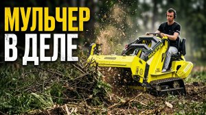 ПОКОС ТРАВЫ МУЛЬЧЕРОМ ЛЕГКО, СНОВА ТЕСТИРУЕМ МУЛЬЧЕР В РАЗНЫХ УСЛОВИЯХ: ВЕТКИ, КУСТАРНИКИ, ДЕРЕВЬЯ