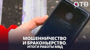 Мошенничество и браконьерство. Итоги работы МВД
