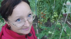 Видео привет с 6 соток 29 июля 2026 года.