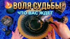 ☝️ ВОЛЯ СУДЬБЫ ДЛЯ ВАС ❗️ КАКИЕ ПЕРЕМЕНЫ УЖЕ НА ПОРОГЕ ❓💯