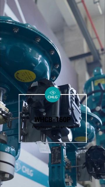 WHCB-160P-Контрольный клапан-CHLG