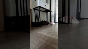 злая коха 2 приключения продолжаются