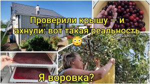 Влоги с ЮГА🌞 Я воровка? 🧐 Проверили крышу и ахнули! 🤯