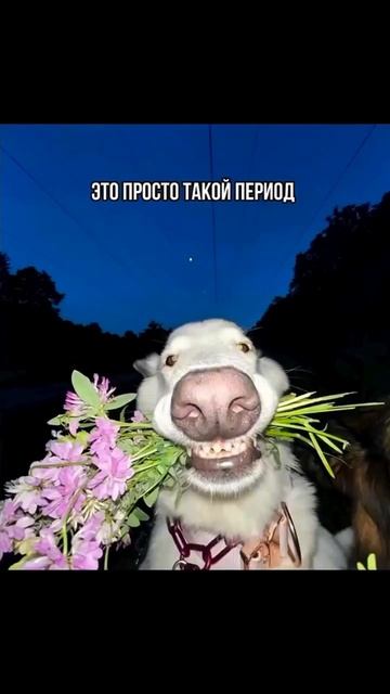 Как же понять....
