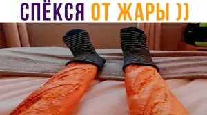 СПЁКСЯ ОТ ЖАРЫ))) Приколы