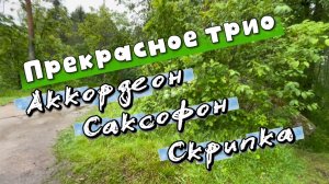 Прекрасная инструментальная музыка. Аккордеон, скрипка и саксофон для вашего отдыха