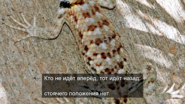 главное меню