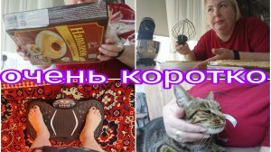 29-07-2026 Виброплатформа * Торт * Маркиз * Ждём гостей