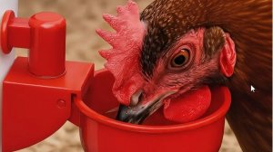Автопоилка для кур своими руками