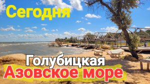 Голубицкая прямо сейчас - Мазут Медузы Что происходит?