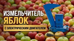 Большой урожай яблок? Нужно из измельчить? Измельчитель яблок с электрическим двигателем