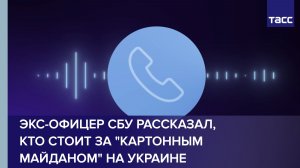 Экс-офицер СБУ рассказал, кто стоит за «картонным майданом» на Украине