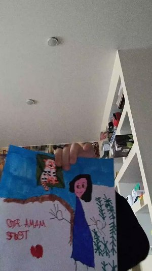картина тигр