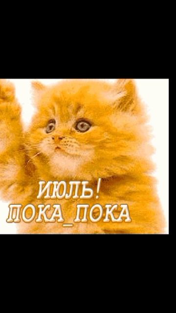 здравствуй август (ꈍᴗꈍ)(ꈍᴗꈍ)❤❤❤❤😍😍