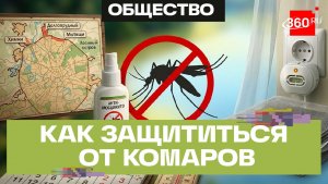 На Москву и Московскую область в начале августа обрушится аномальная комариная буря