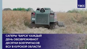 Саперы «Барса» каждый день обезвреживают десятки боеприпасов ВСУ в Курской области