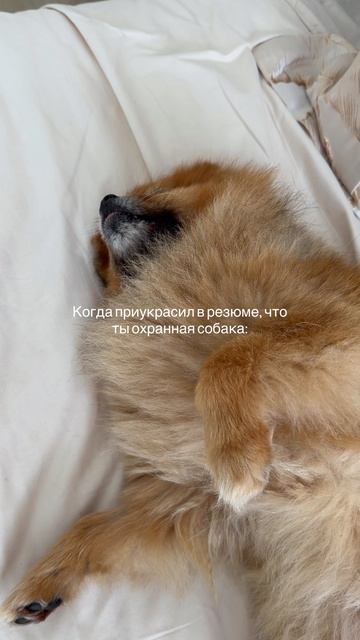😁