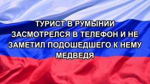 |Н. РФ| Турист в Румынии засмотрелся в телефон и не заметил подошедшего к нему медведя