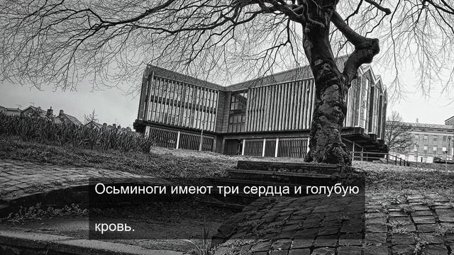 сознание реальности 3
